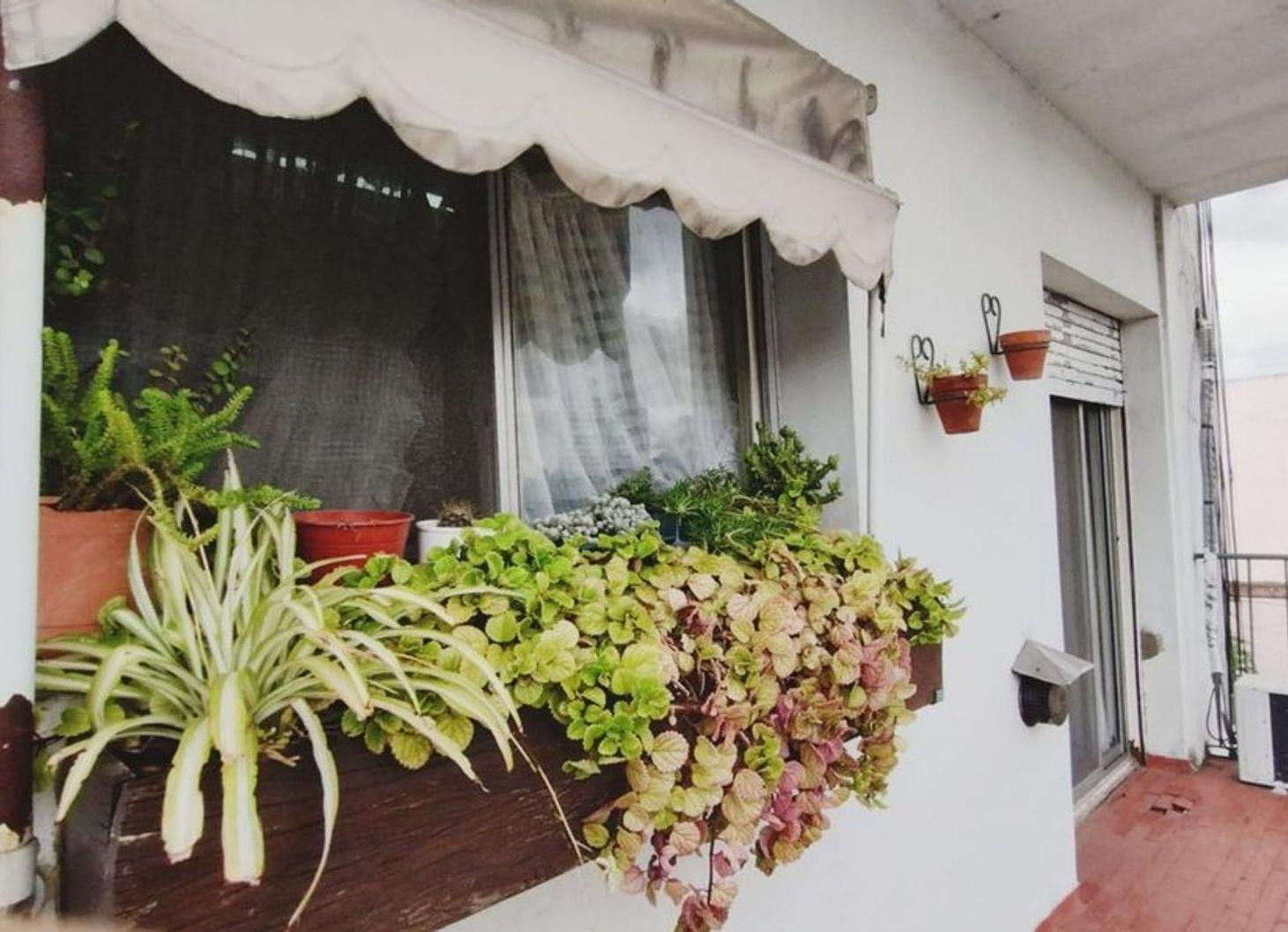 Foto de VENTA DEPARTAMENTO 3 AMBIENTES SAN ISIDRO, imagen 2