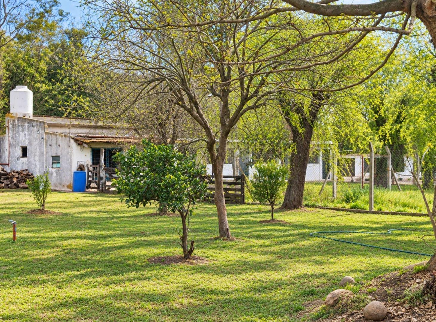Foto de CHACRA EN VENTA 3,7 HECTÁREAS EN VIRREY DEL PINO, imagen 5
