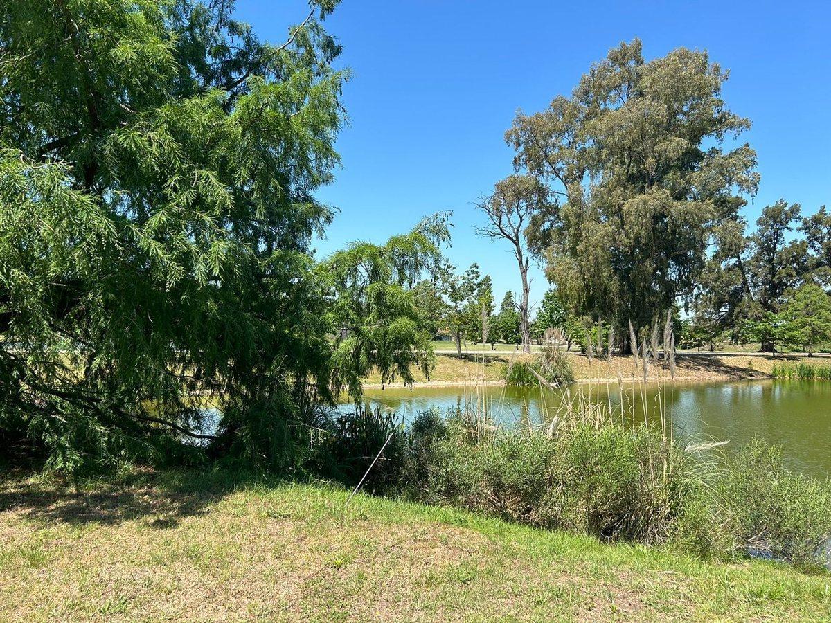 Foto de VENTA LOTE 1293MTS CAÑUELAS METEJON CAMPO PRIVADO, imagen 5