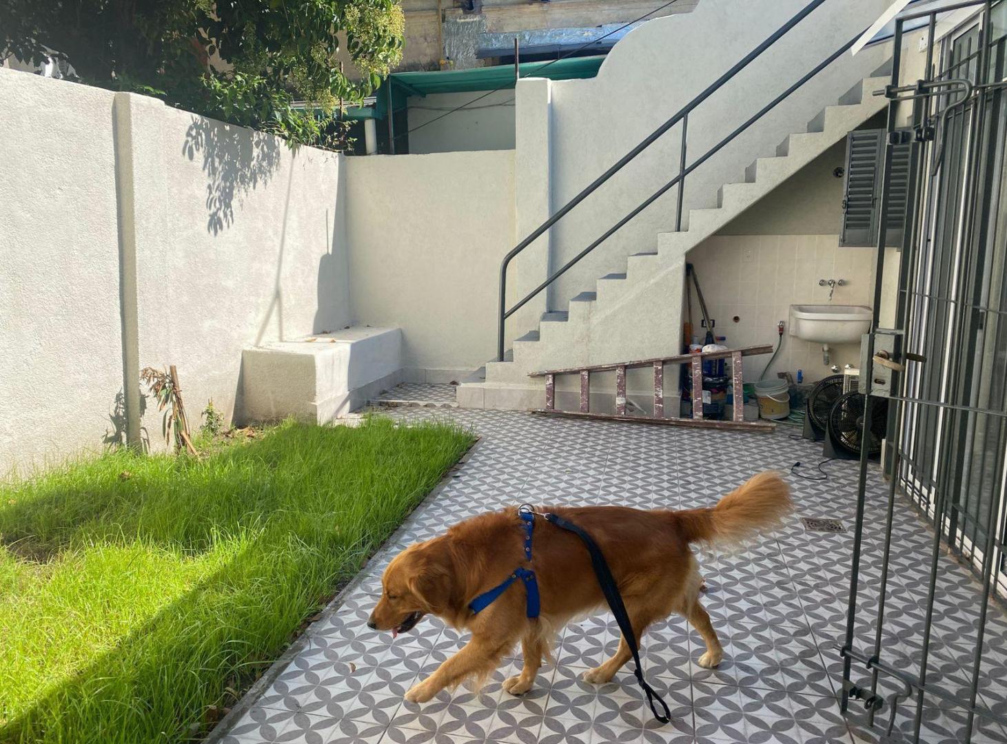 Foto de Casa en Floresta Norte, imagen 2
