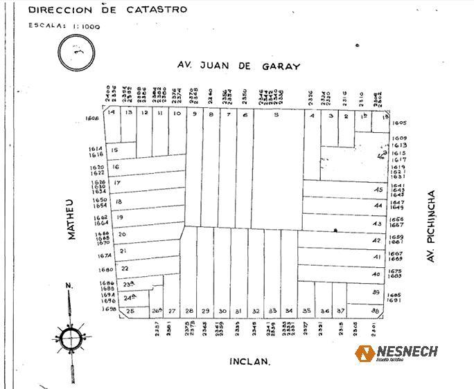 Plano 3