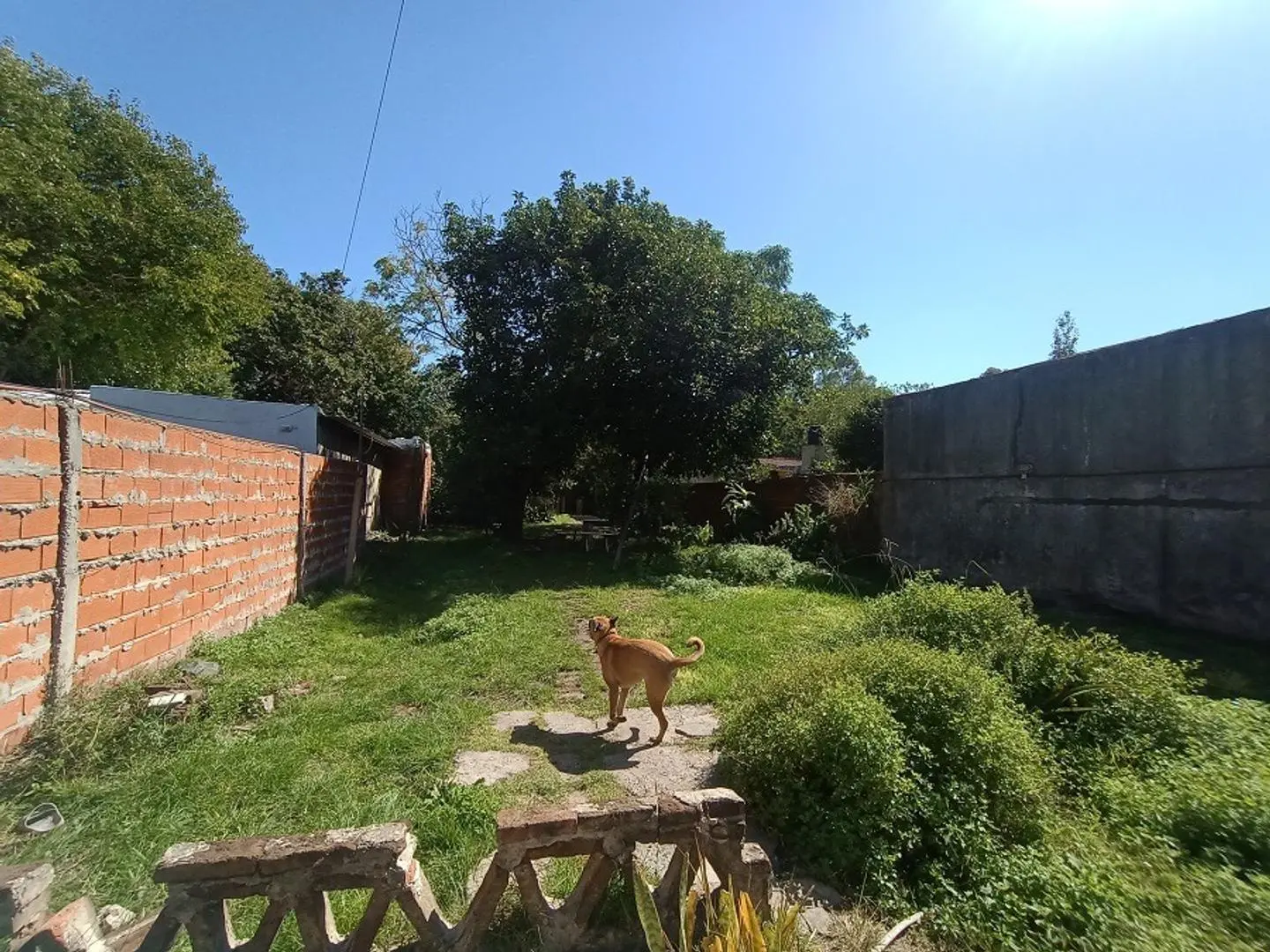 VENTA LOTE CON MEJORAS 2