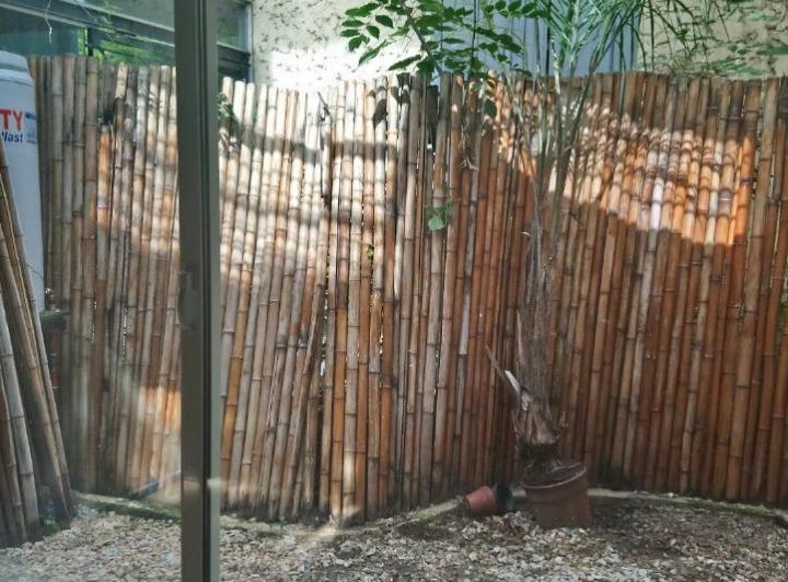 Foto de Monoambiente c/patio, imagen 5