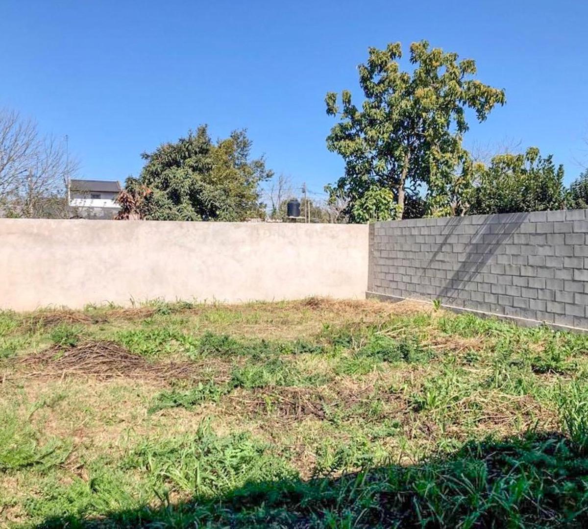 Local Comercial + Galpon + 2 Departamentos - Merlo 5