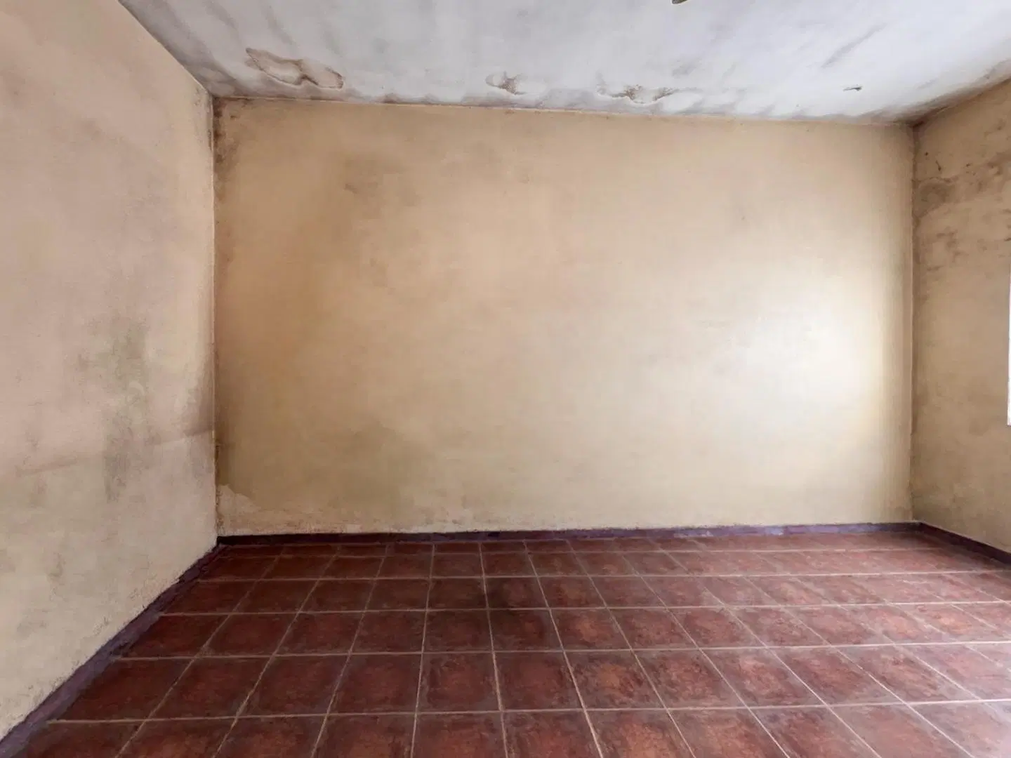 CASA 8