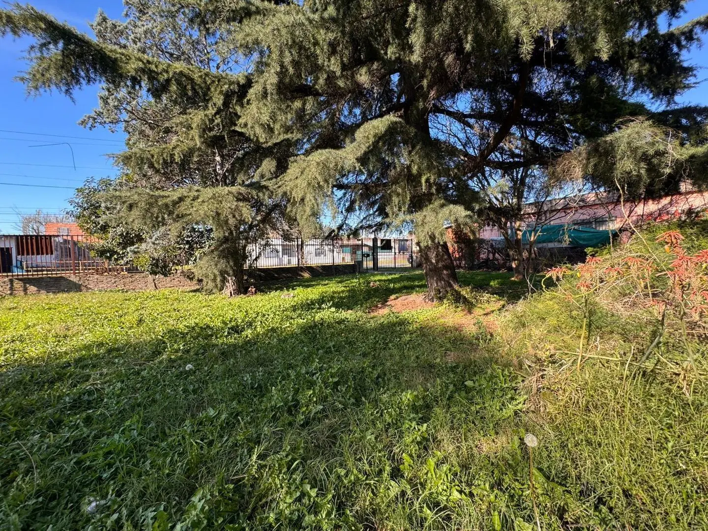 CASA 1