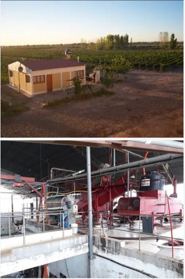 Bodega - Barrancas 2