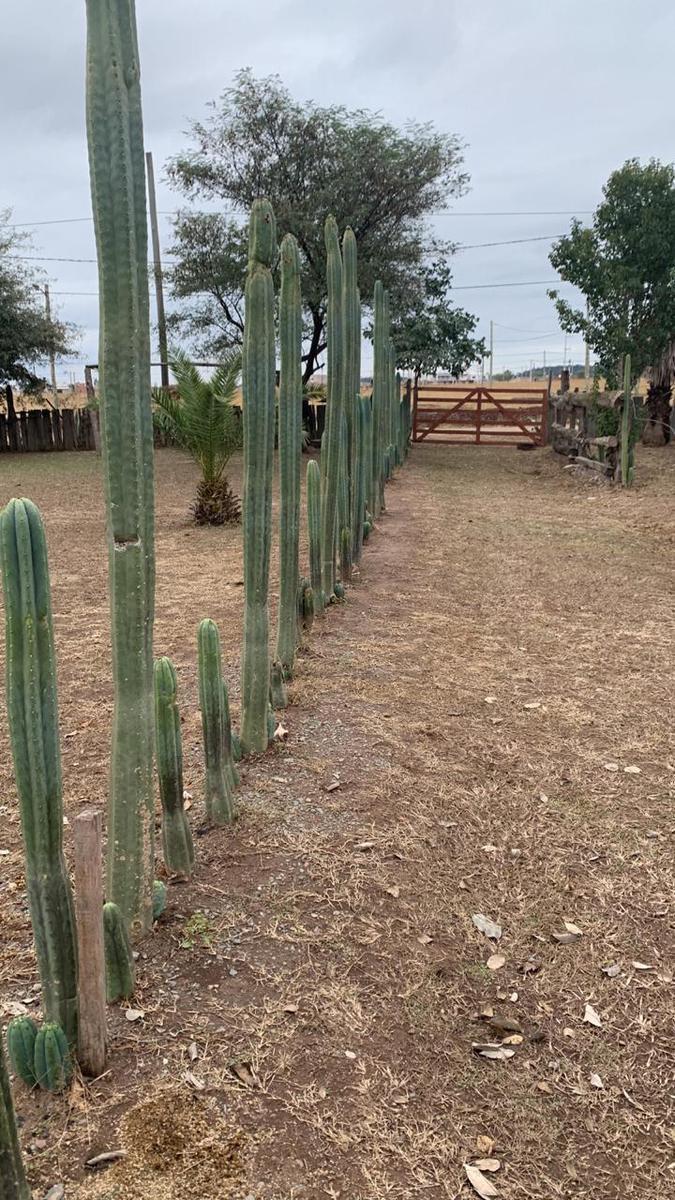 Complejo de Cabañas en Salta 4