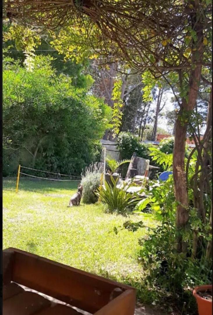 Casa en Las Toninas con jardin y pileta