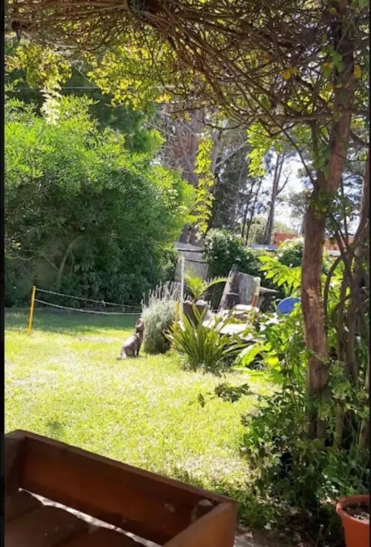 Casa en Las Toninas con jardin y pileta 3