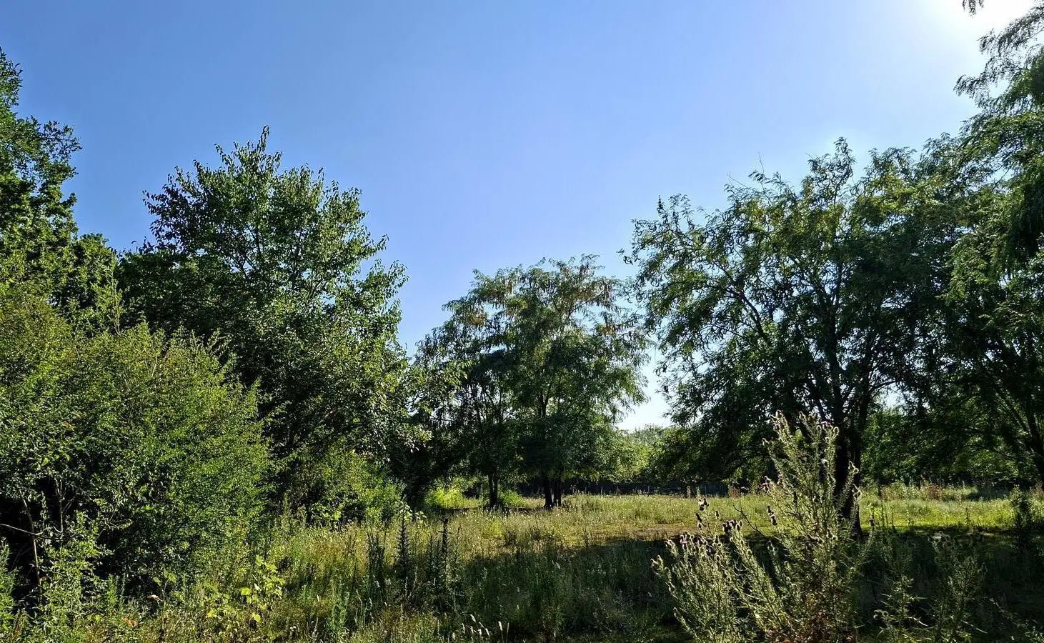 OPORTUNIDAD!! Lote en venta en Chacras del Ocho, al lado de Pilará, en oferta por tiempo limitado!! 2