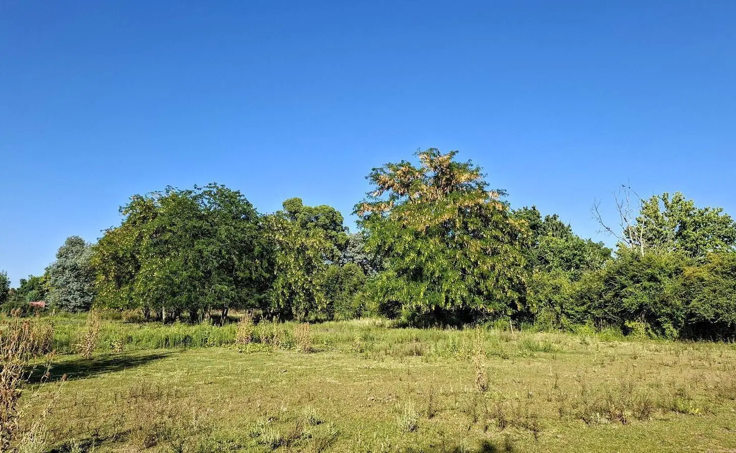 OPORTUNIDAD!! Lote en venta en Chacras del Ocho, al lado de Pilará, en oferta por tiempo limitado!! 4