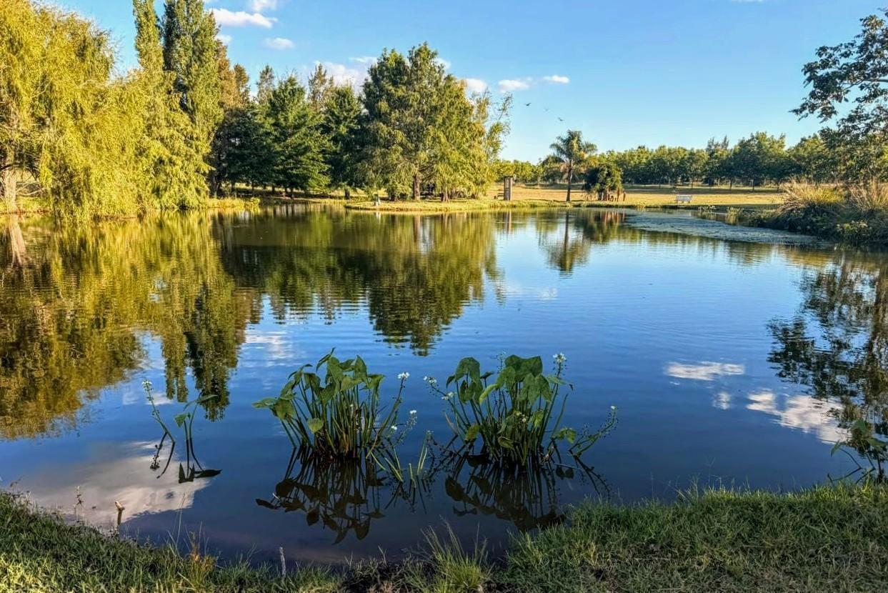Campo de 32 ha. con infraestructura ideal Club de Polo o Equitación a 14 km. de Capilla del Señor