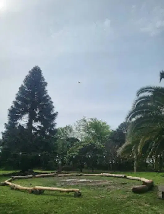Campo en Lima 4