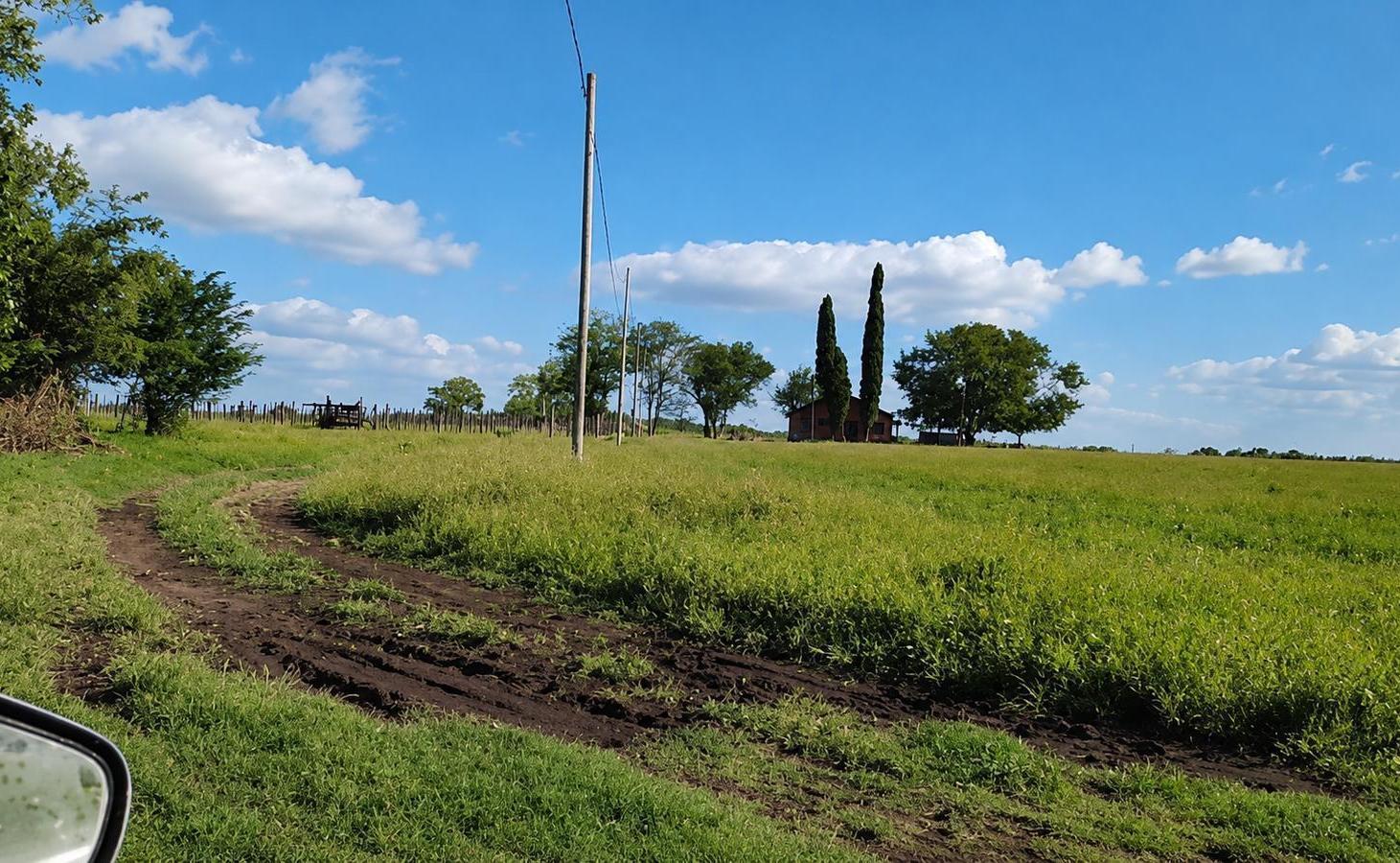 Campo en Concepcion Del Uruguay