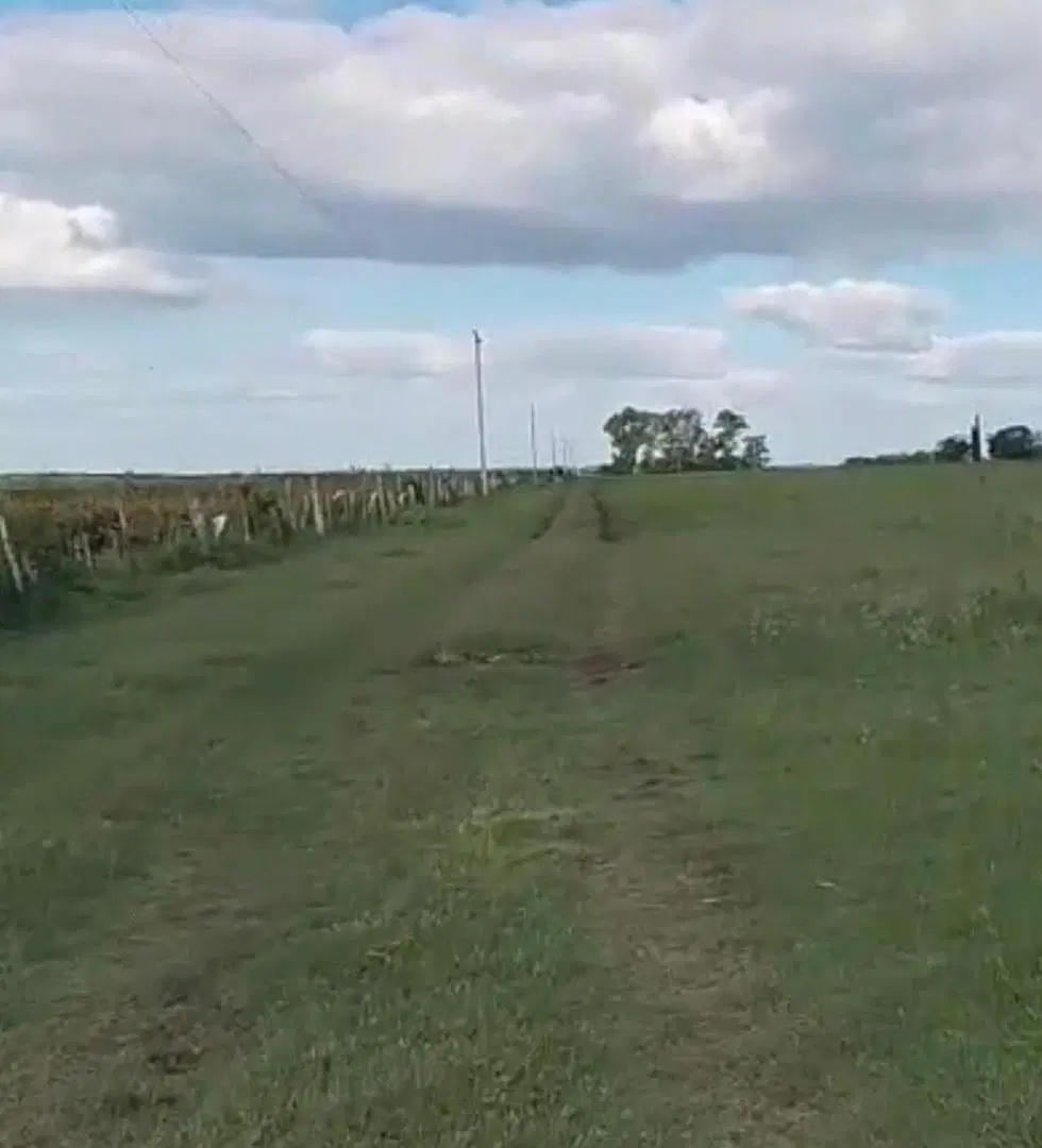 Campo en Concepcion Del Uruguay 3