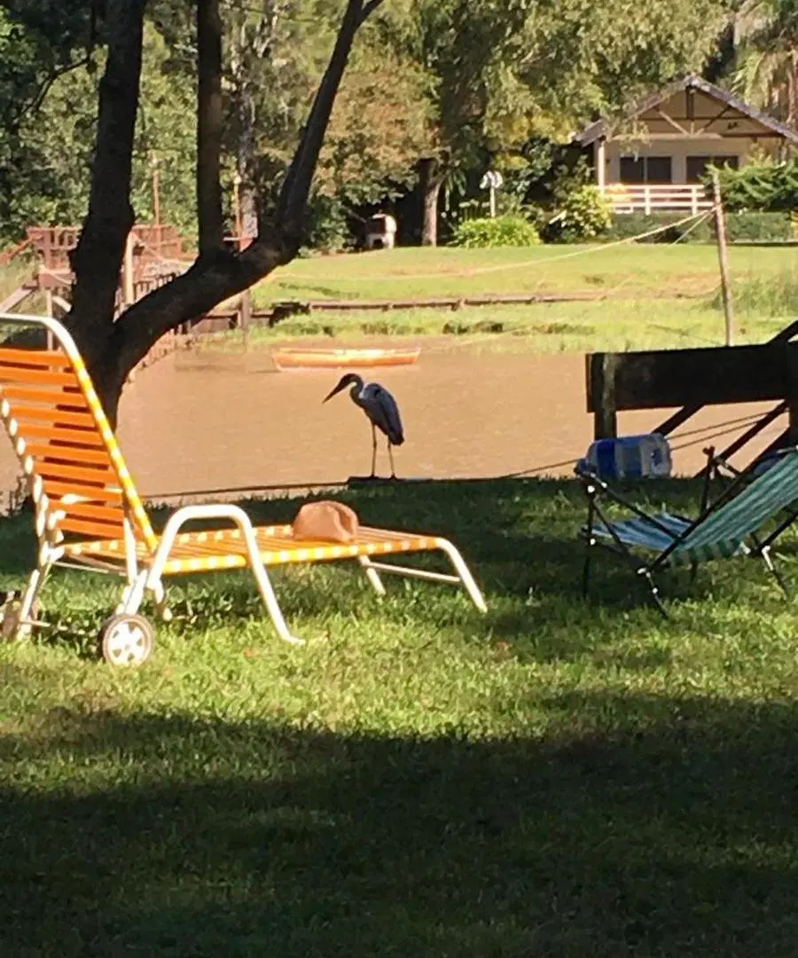 Casa en Zona Delta Tigre 3