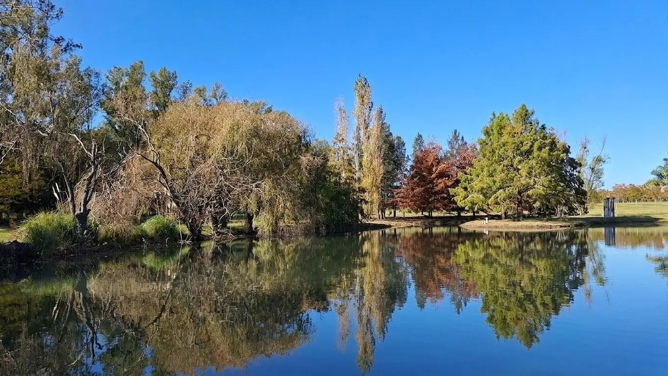 Casa con 3 dormitorios en alquiler por 1 año en Condominio Rural a 14 km. de Capilla del Señor 5