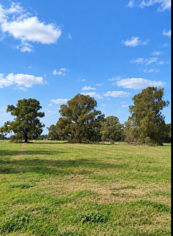 Foto de Espectacular lote de 16.700 m2 en venta en Quebradas Villa Rural, imagen 2