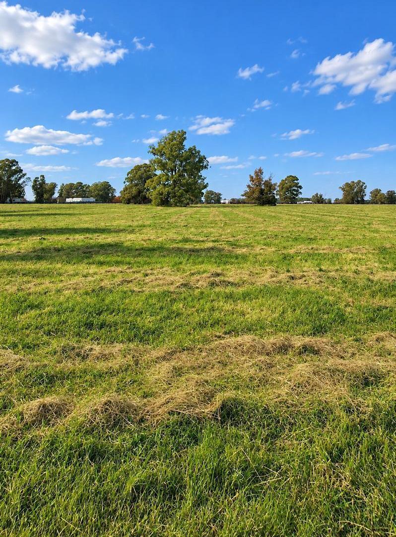 Foto de Espectacular lote de 16.700 m2 en venta en Quebradas Villa Rural, imagen 1