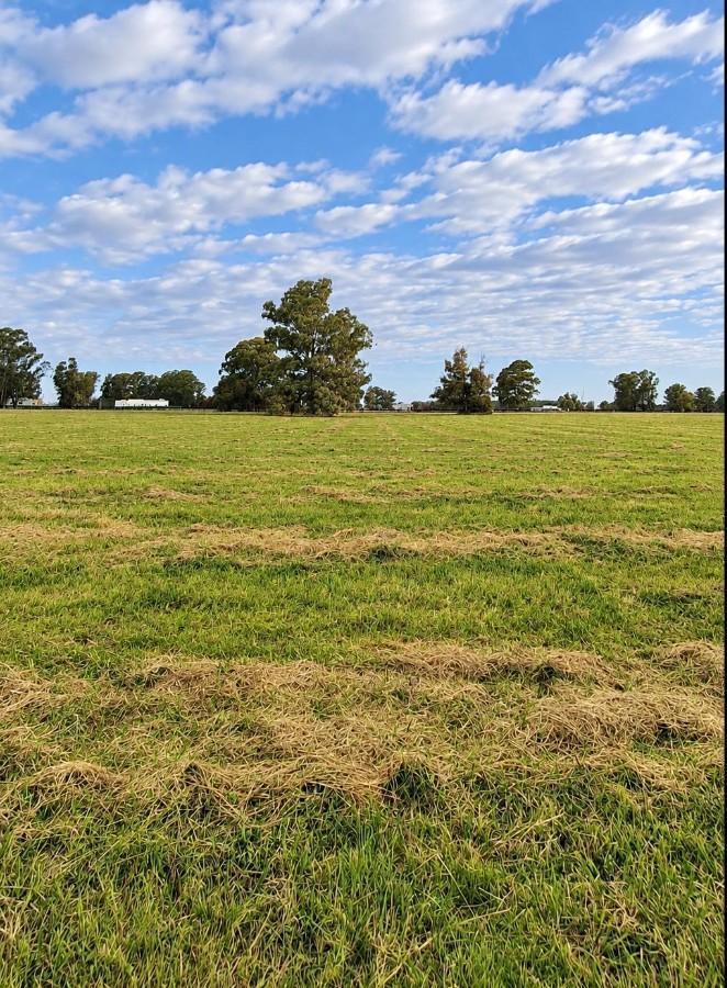 Foto de Espectacular lote de 16.700 m2 en venta en Quebradas Villa Rural, imagen 1