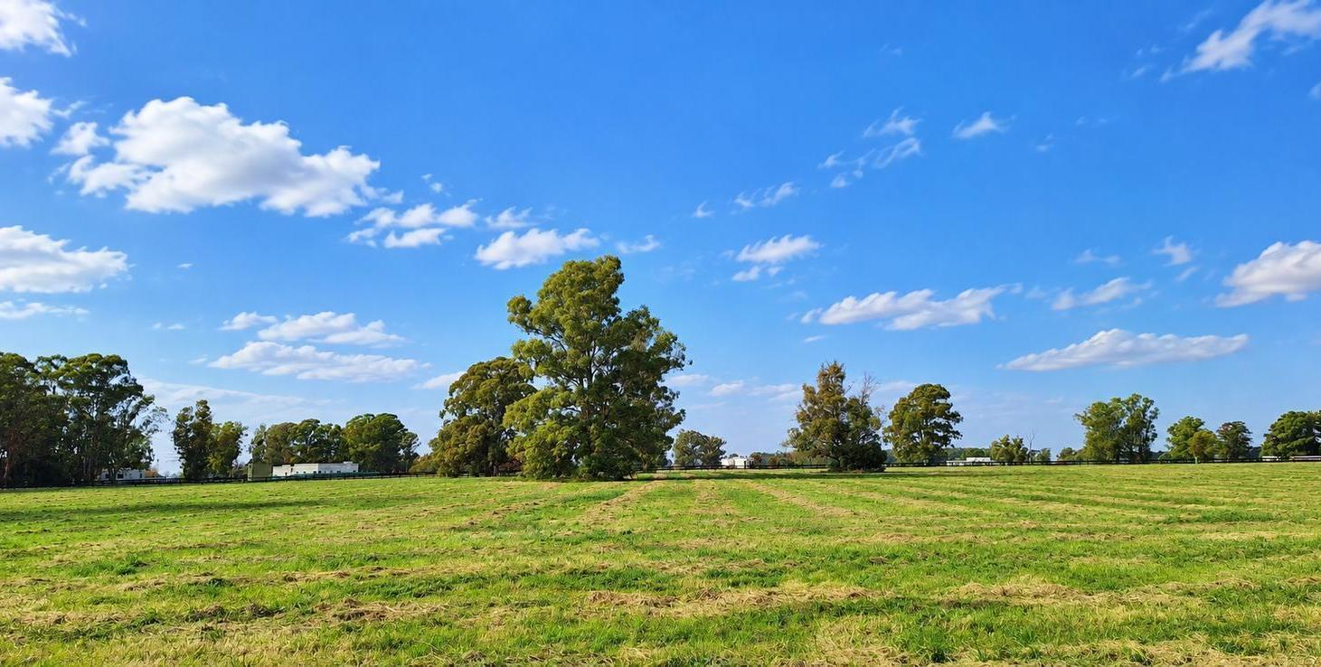 Foto de Espectacular lote de 16.700 m2 en venta en Quebradas Villa Rural, imagen 4