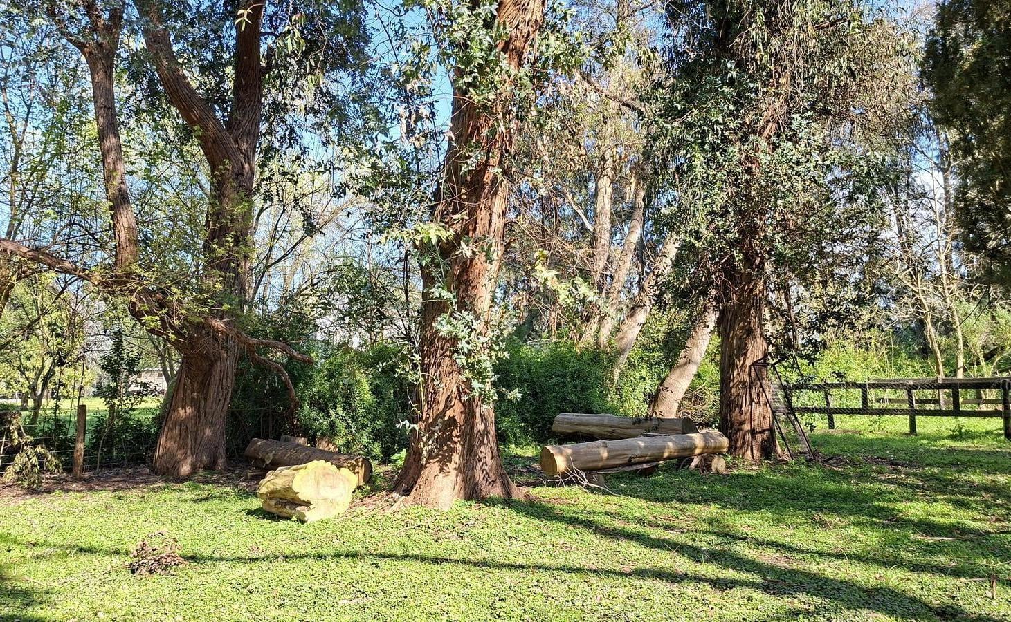 Quinta Vacacional