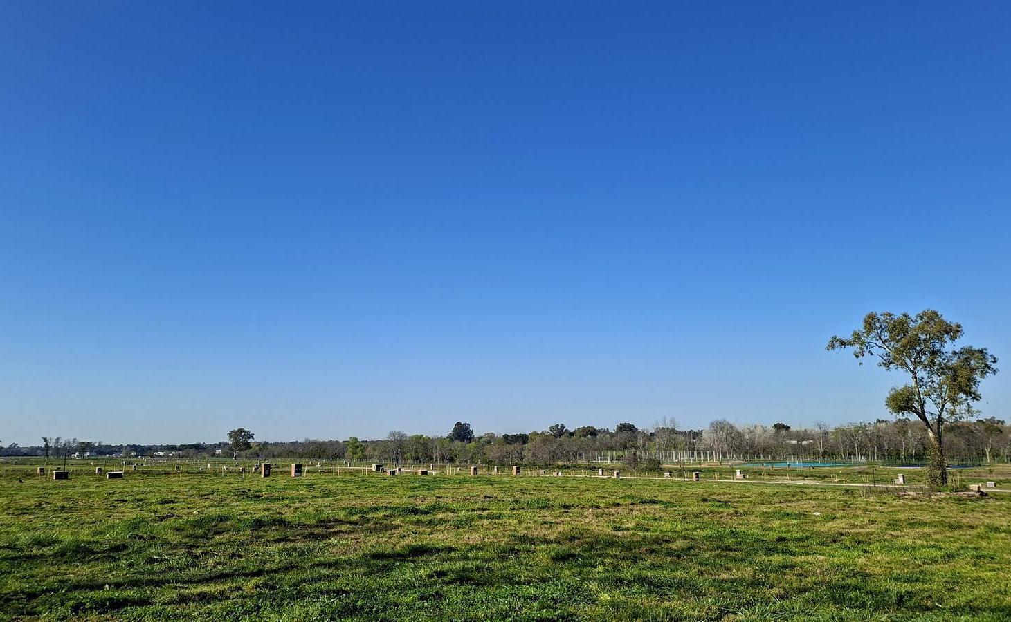 Foto de Lindísimo lote central en venta en Estancia Carabassa, imagen 4