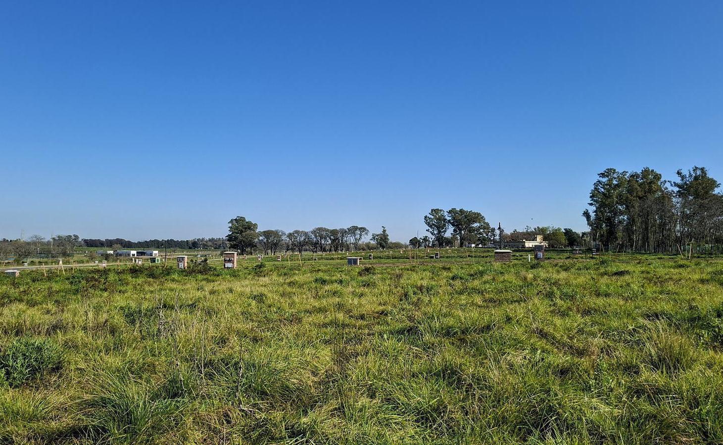 Foto de Lindísimo lote central en venta en Estancia Carabassa, imagen 3