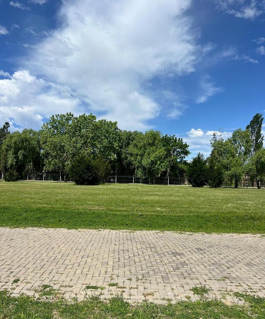 Foto de Terreno en Venta en El Cardal II, imagen 2