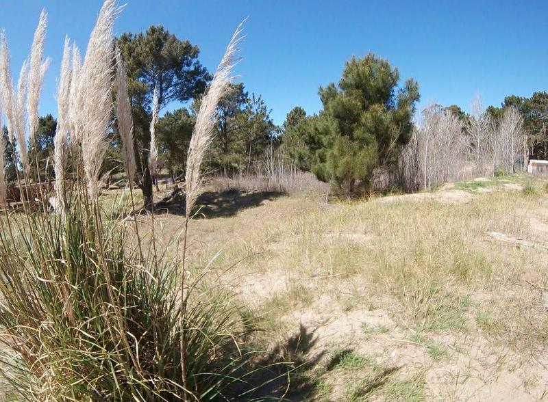 Lotes en Las Gaviotas Zona Residencial 5