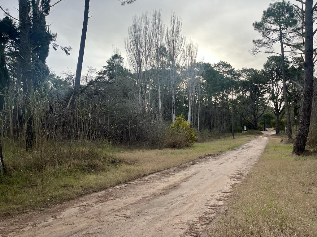 Terreno en Venta en Carilo Providencia Entre Atalaya y Carpintero 3