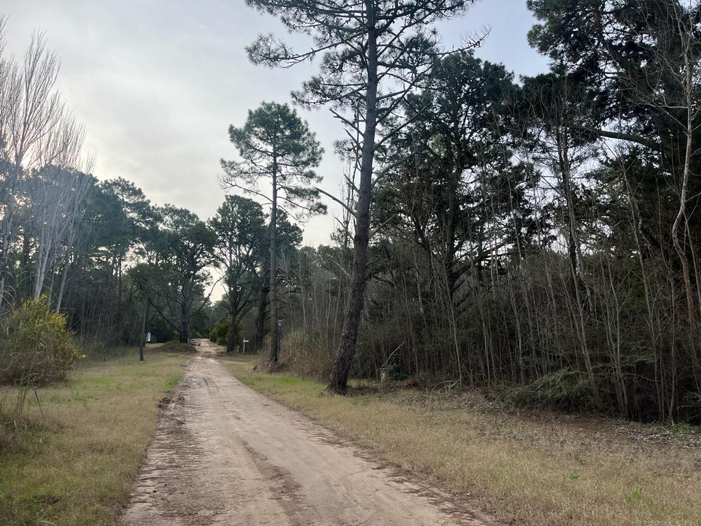 Terreno en Venta en Carilo Providencia Entre Atalaya y Carpintero 4