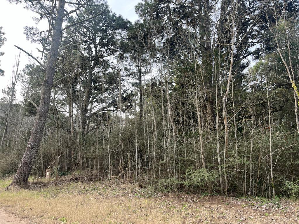 Terreno en Venta en Carilo Providencia Entre Atalaya y Carpintero 5