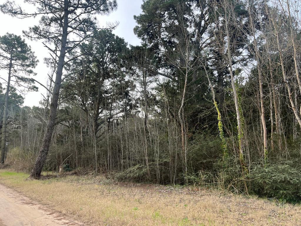 Terreno en Venta en Carilo Providencia Entre Atalaya y Carpintero 2