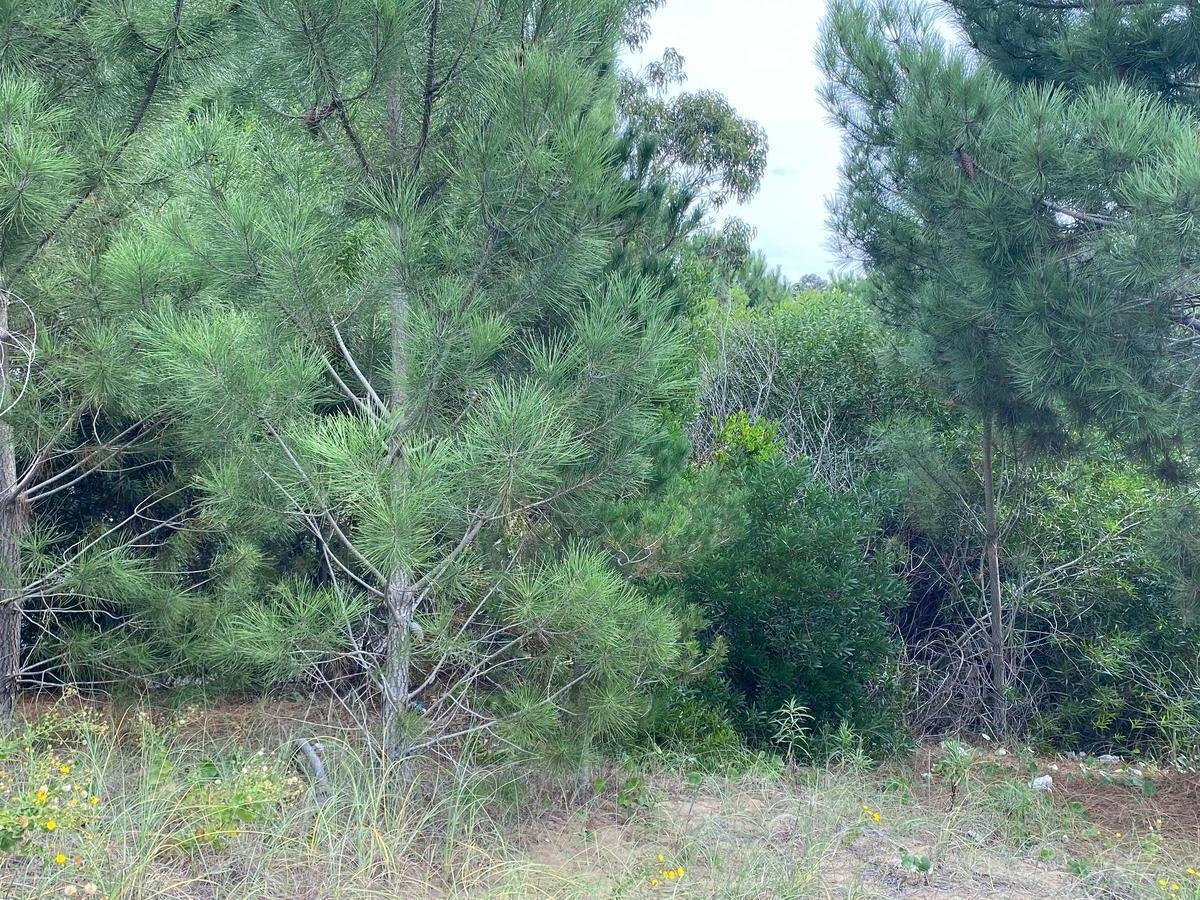 Terreno en Venta Costa Esmeralda Senderos III 3