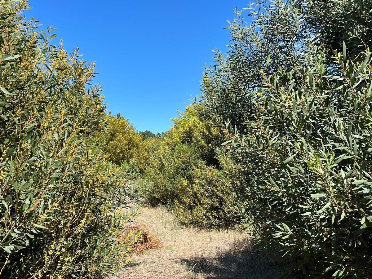 Terreno en Venta Costa Esmeralda Senderos 4 3