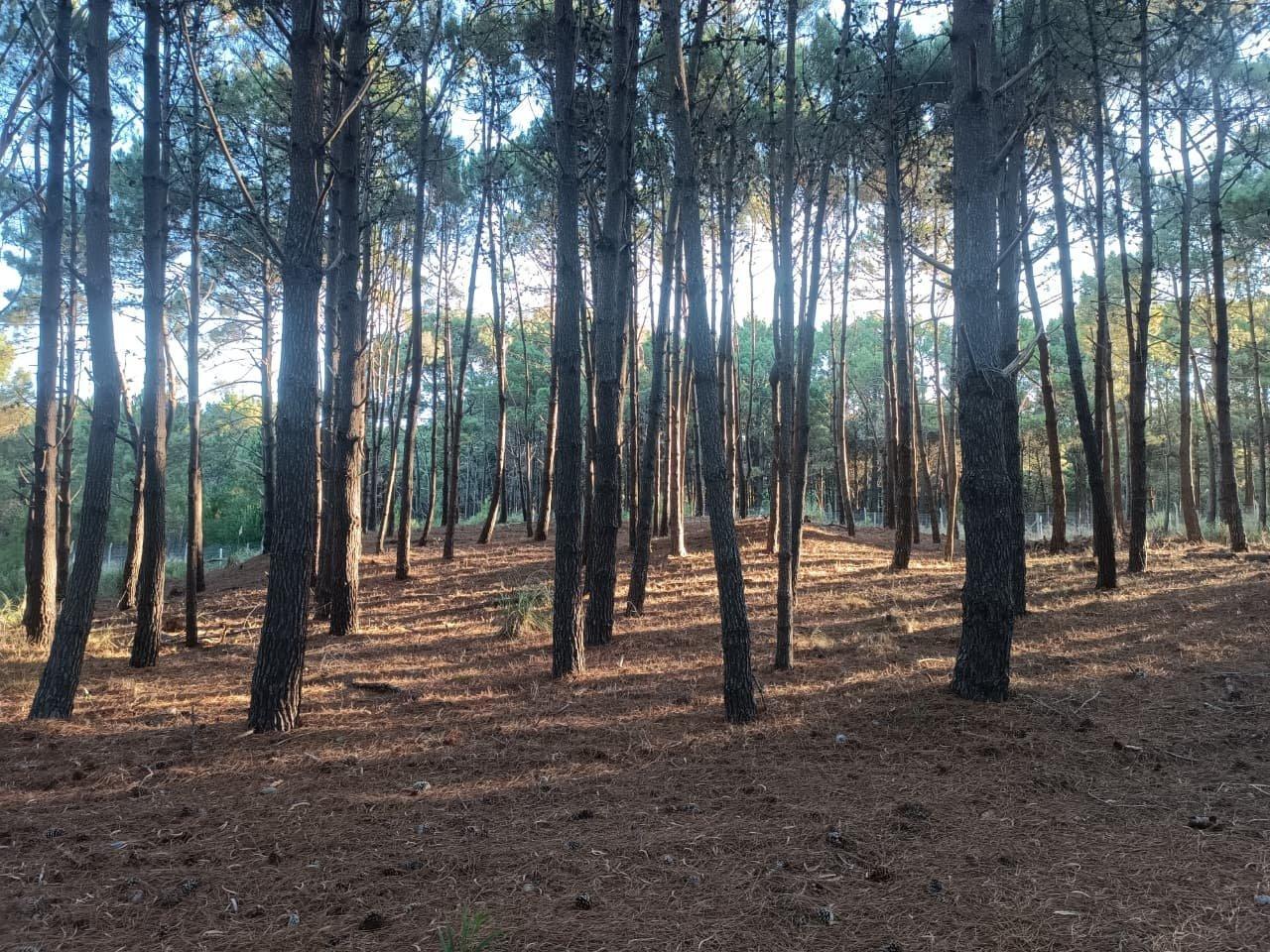 Lote en venta en Villarobles, Brisas 176, cerca del mar