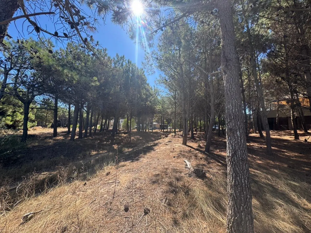 Lote en venta primera línea de mar de Maritimo 2, Costa Esmeralda 5
