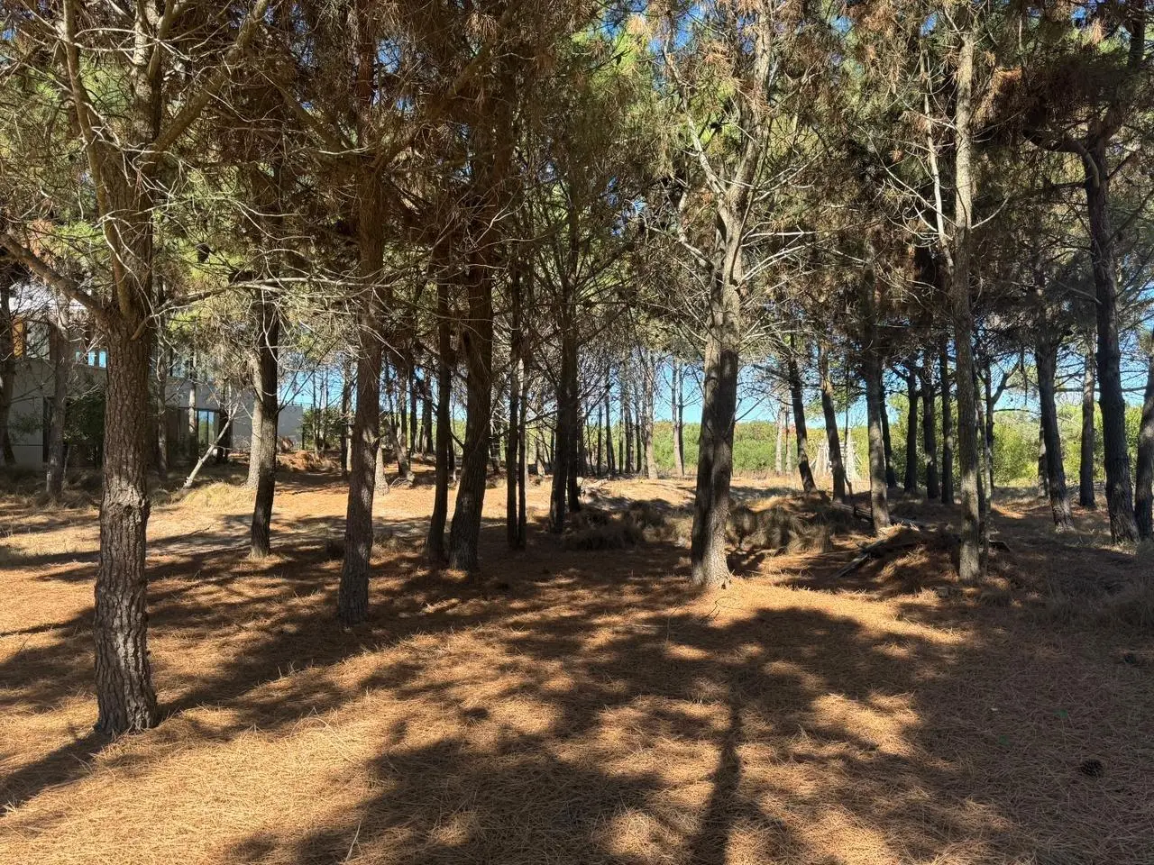 Lote en venta primera línea de mar de Maritimo 2, Costa Esmeralda 2
