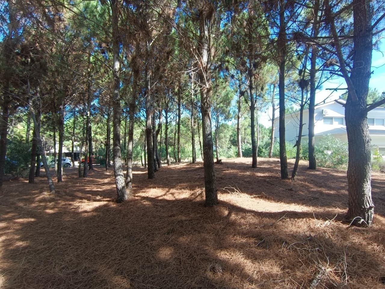 Lote en venta en Costa Esmeralda, barrio Marítimo 3