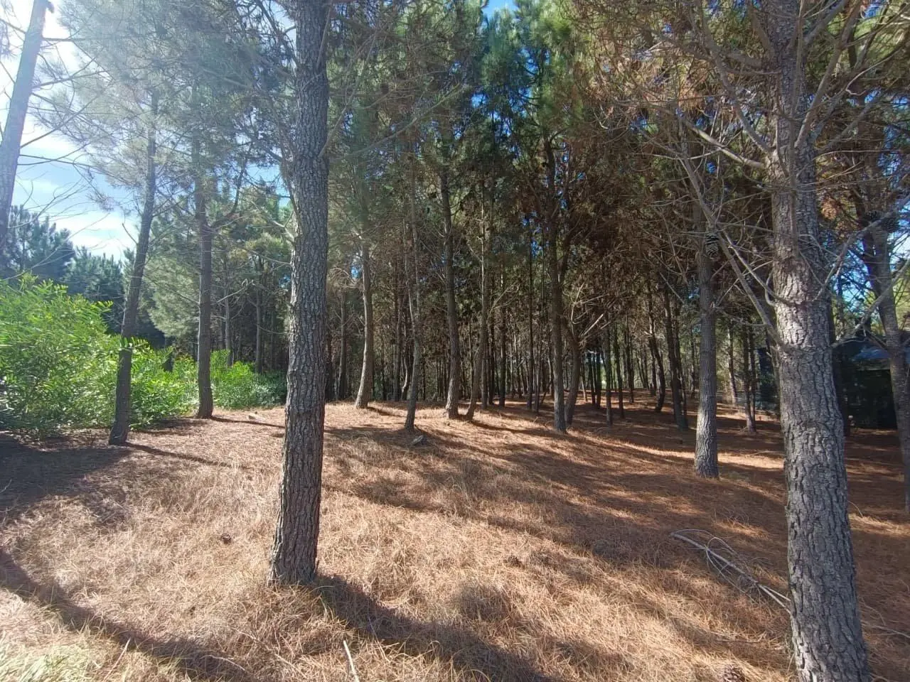 Lote en venta en Costa Esmeralda, barrio Marítimo 3 1