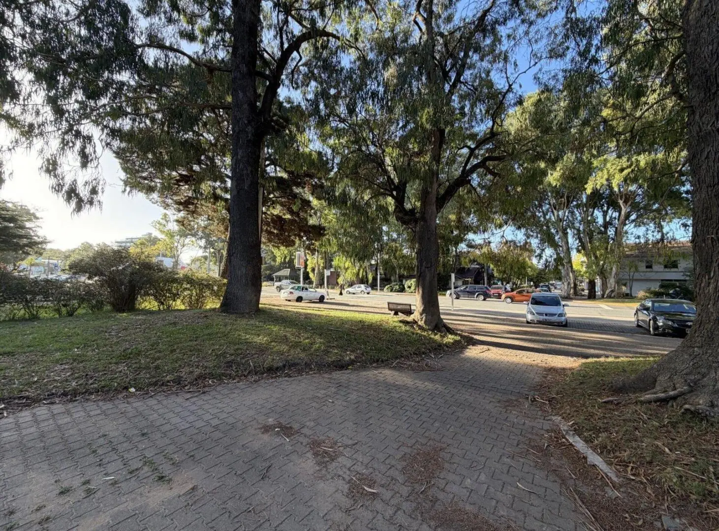Local Comercial - Bunge y Shaw 5