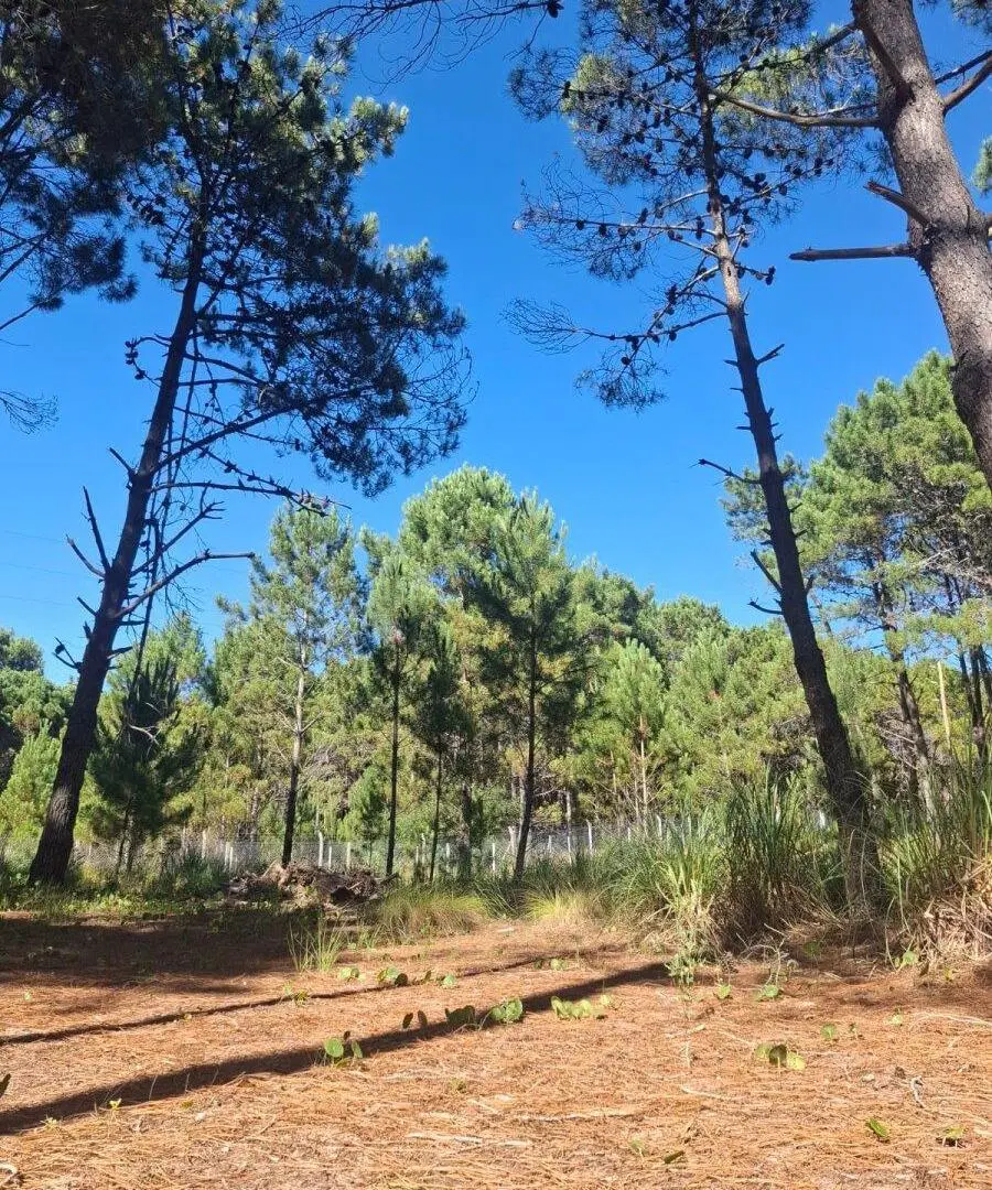 Lote en venta en Villarobles, Barrio Brisas 3