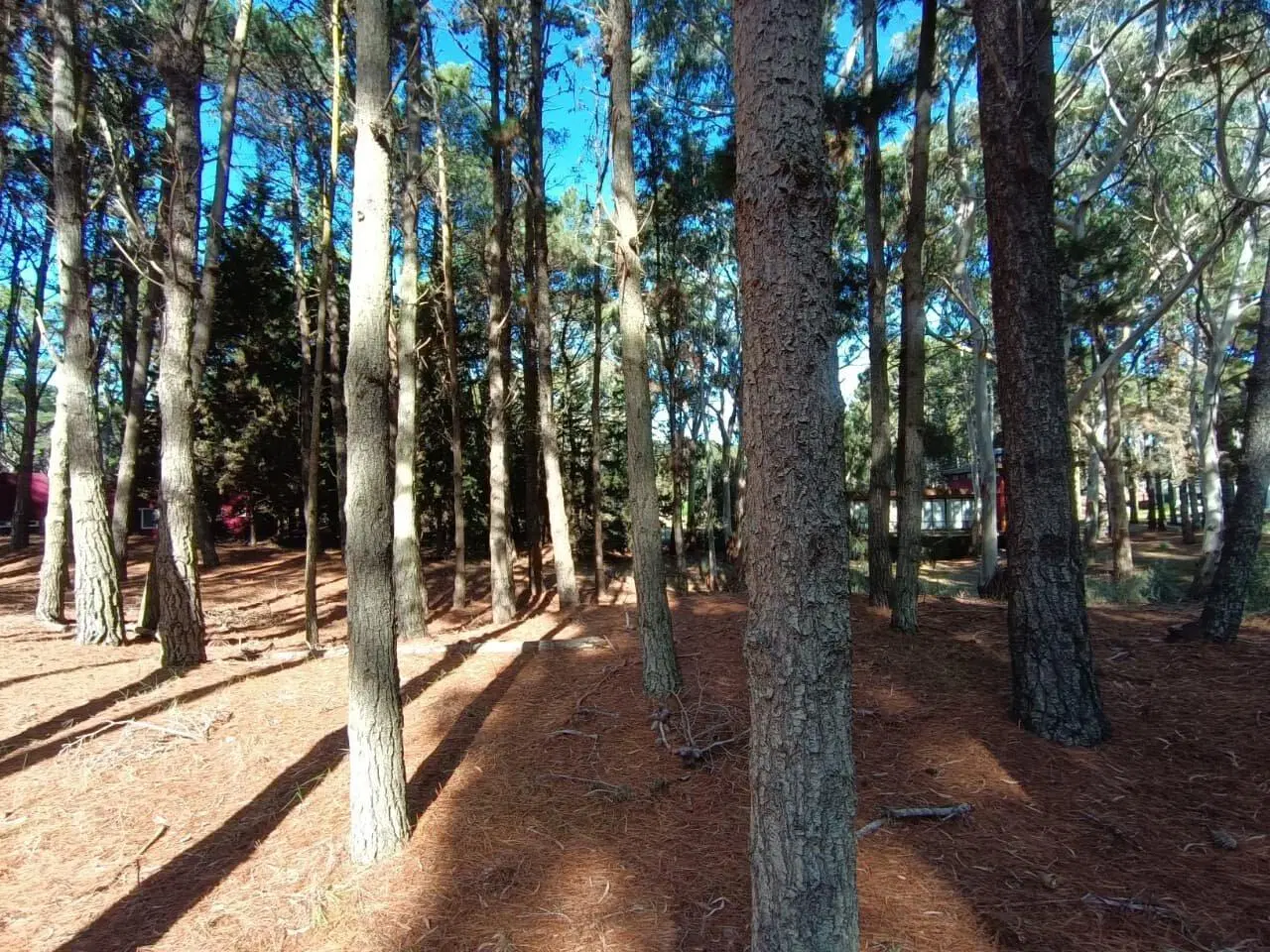 Lote N°35 Bosques Costa Esmeralda 3