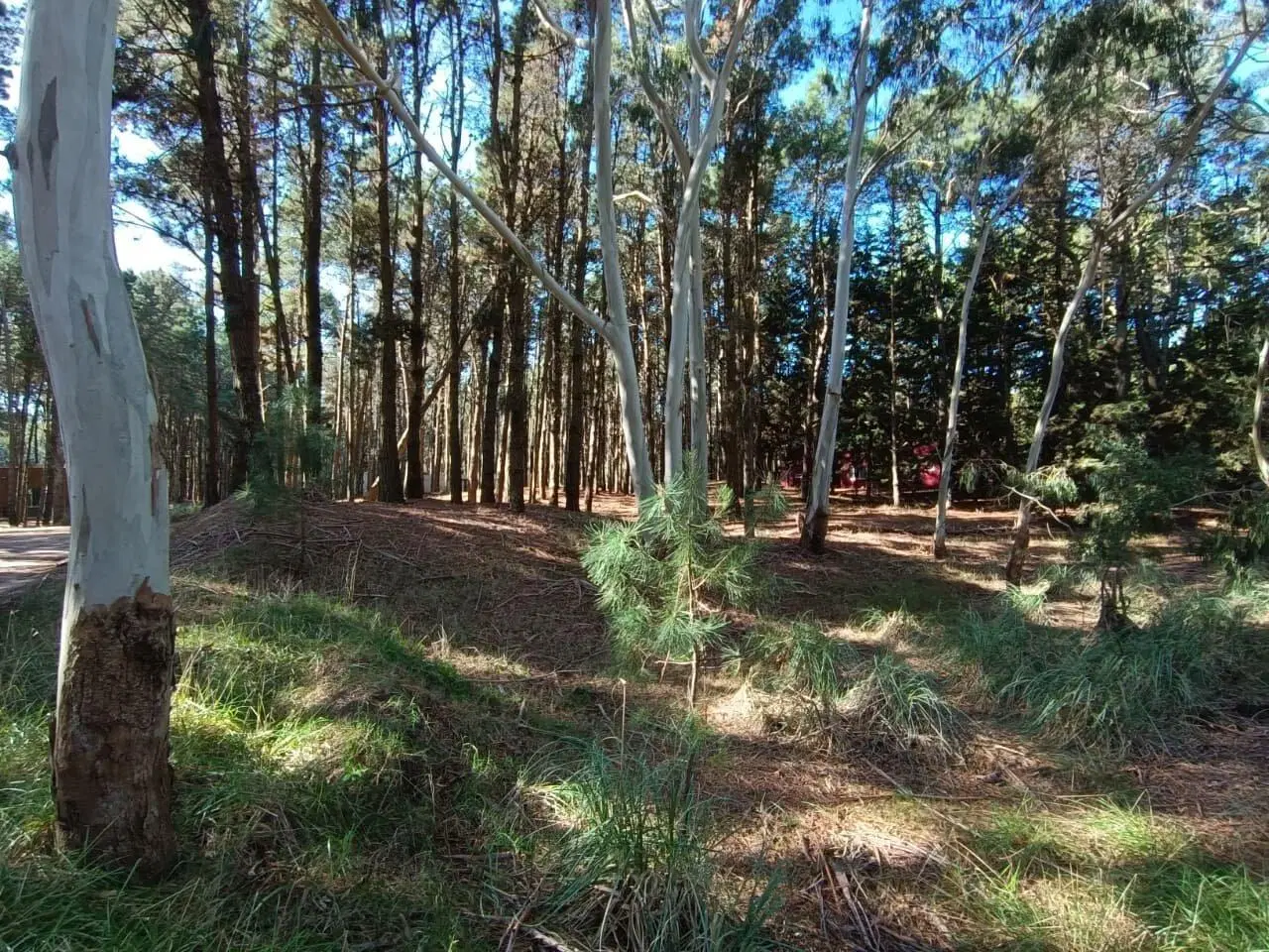 Lote N°35 Bosques Costa Esmeralda 2