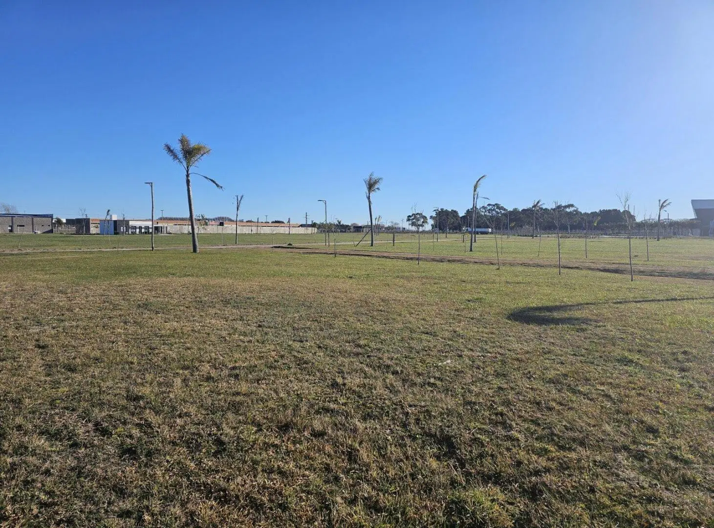 Lote en Casuarinas 4