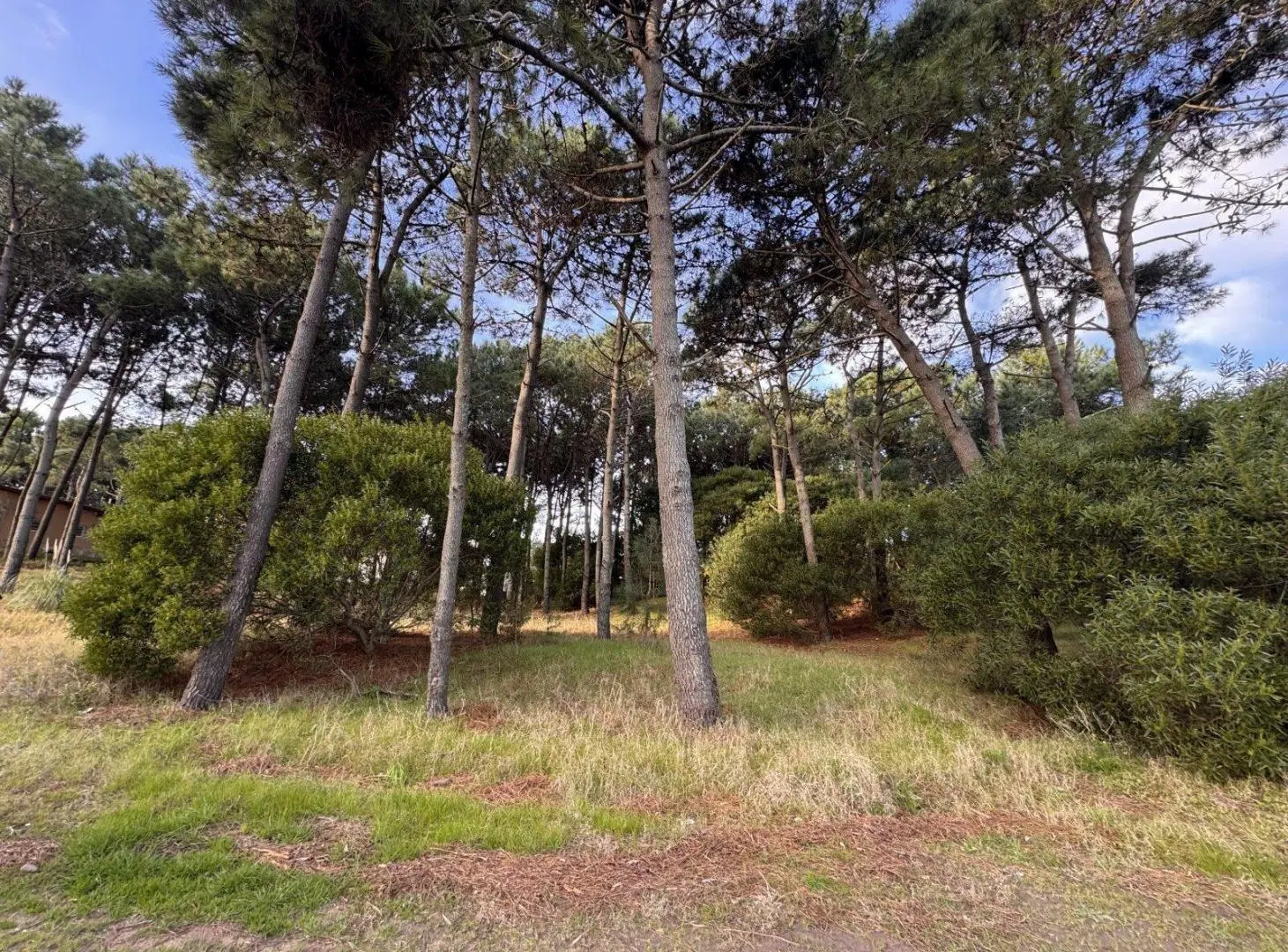 LOTE RESIDENCIAL EN BARRIO NAYADES. PINAMAR 4