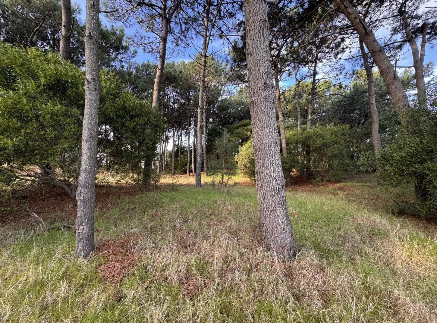 LOTE RESIDENCIAL EN BARRIO NAYADES. PINAMAR 5