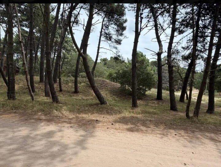 Foto de Lote en mar de las Pampas, imagen 1